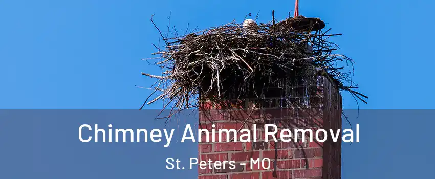 Chimney Animal Removal St. Peters - MO