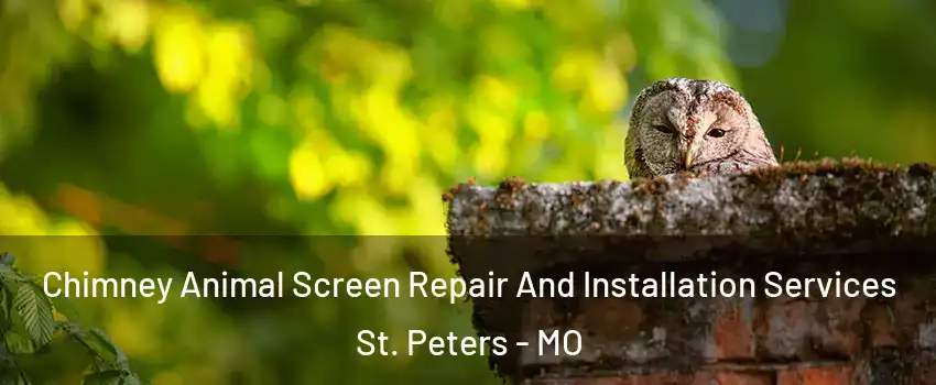 Chimney Animal Screen Repair And Installation Services St. Peters - MO