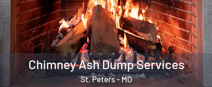  Chimney Ash Dump Services St. Peters - MO