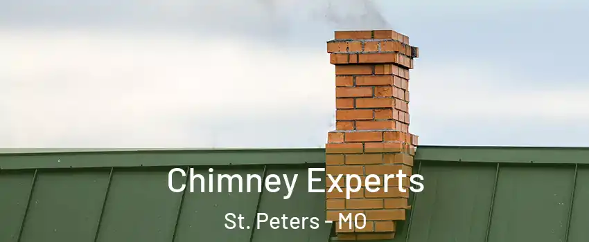  Chimney Experts St. Peters - MO