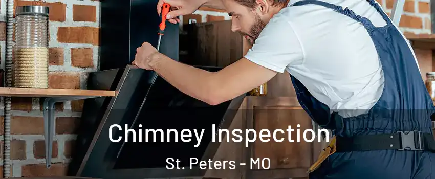  Chimney Inspection St. Peters - MO