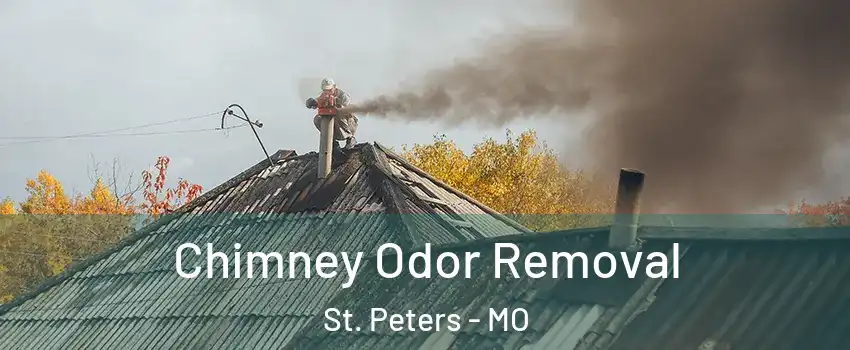  Chimney Odor Removal St. Peters - MO