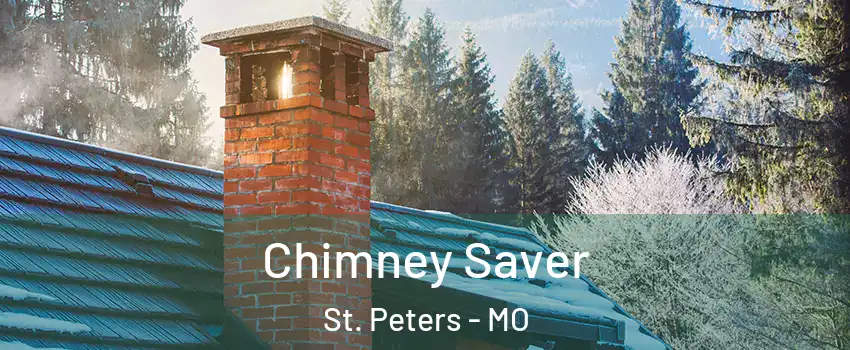  Chimney Saver St. Peters - MO