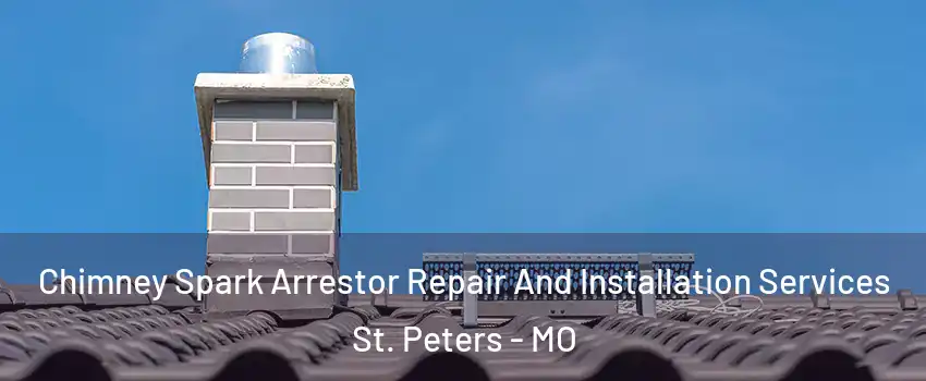  Chimney Spark Arrestor Repair And Installation Services St. Peters - MO