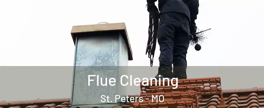  Flue Cleaning St. Peters - MO