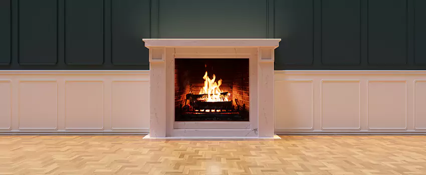 Napoleon Electric Fireplaces Inspection Service in St. Peters, Missouri