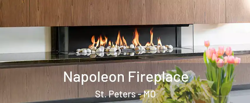  Napoleon Fireplace St. Peters - MO